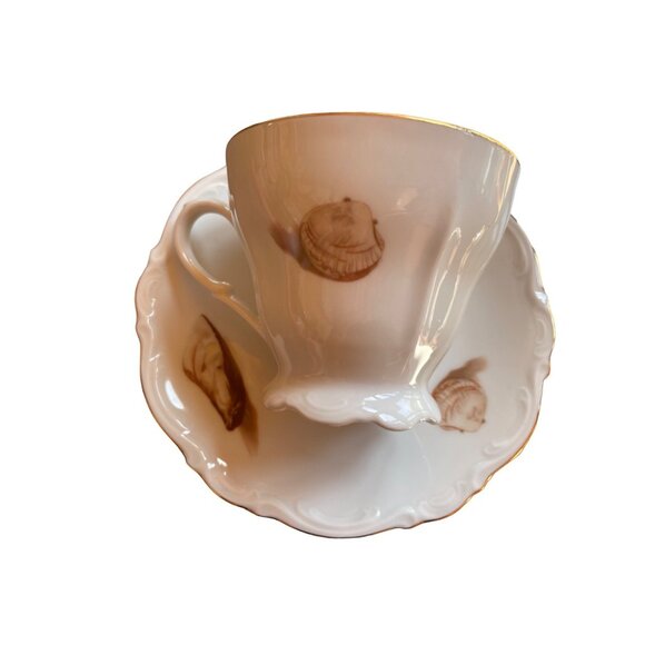 Cup Saucer Western Germany Sea Shore Shells Made in OTCO Bavaria West Germany - Picture 4 of 9